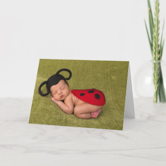 Baby Lady Beetle - Baby Card