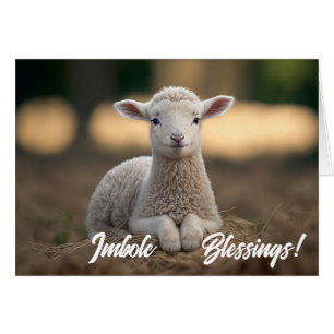 Baby Lamb Imbolc Blessings