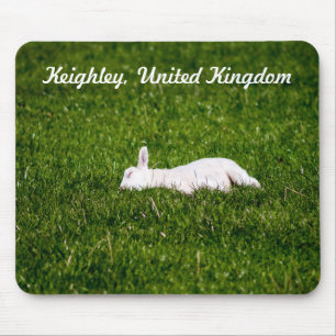 Baby Lamb Mouse Pad