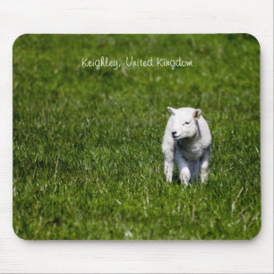 Baby Lamb Mouse Pad