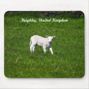 Baby Lamb Mouse Pad