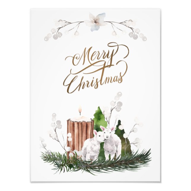 Baby Lamb Pine Candle Christmas  Photo Print (Front)