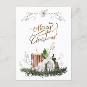 Baby Lamb Pine Candle Christmas  Postcard
