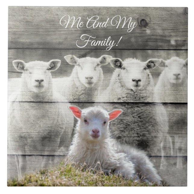 Baby Lamb Sheep Flock Ceramic Tile (Front)