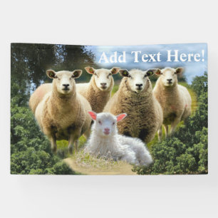 Baby Lamb Sheep Herd Flock Banner
