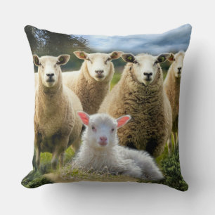 Baby Lamb Sheep Herd Flock Cushion