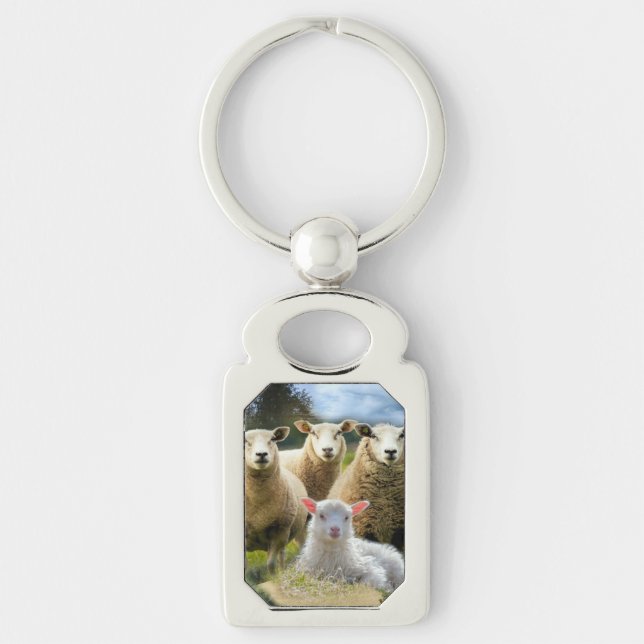 Baby Lamb Sheep Herd Flock Key Ring (Front)