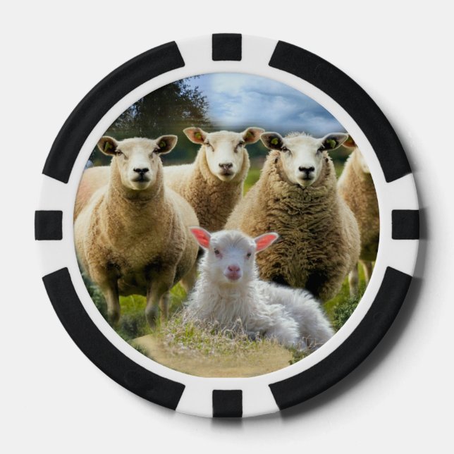Baby Lamb Sheep Herd Flock Poker Chips (Front)