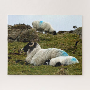 Baby Lamb Sleeping Near Wistman's Wood Jigsaw Puzzle