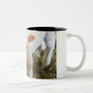 Baby Lamb Two-Tone Coffee Mug