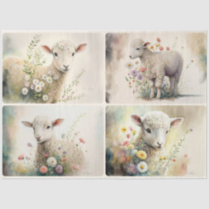 Baby Lambs Tissue Paper
