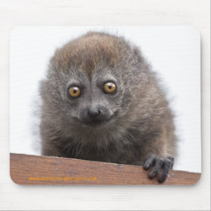 Baby Lemur Mousemat