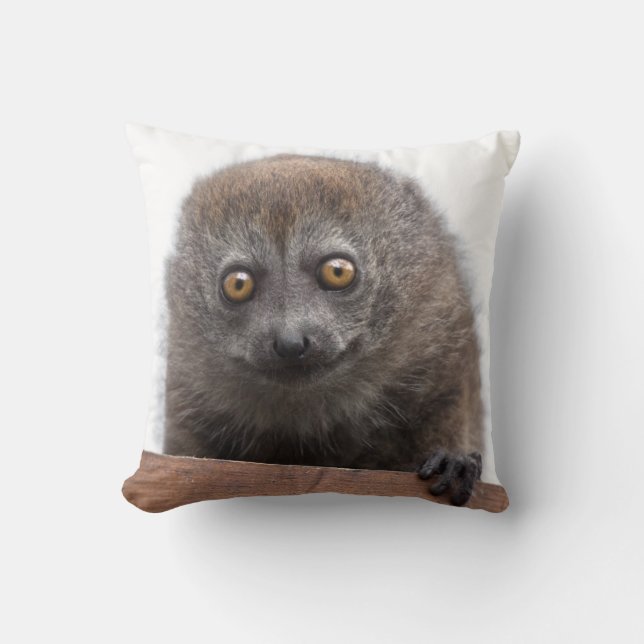 Baby Lemur Pillow (Front)