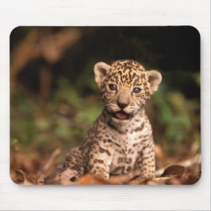 Baby Leopard Mousepad