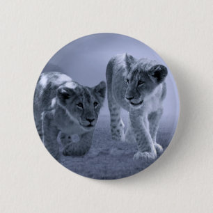 Baby lion cubs at play 6 cm round badge