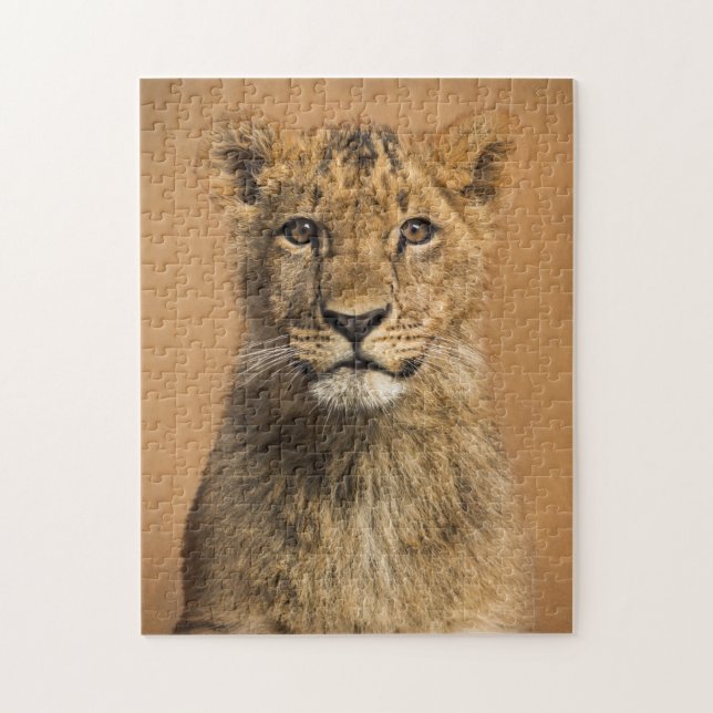 Baby Lion Jigsaw Puzzle (Vertical)