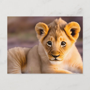 Baby lion laying in the grass postcard