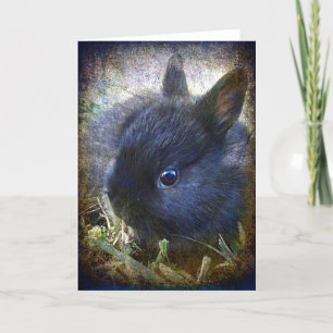 Baby Lionhead Bunny All Occasions Card
