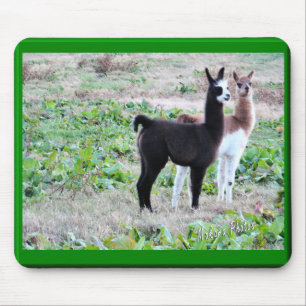 Baby Llamas Mousepad