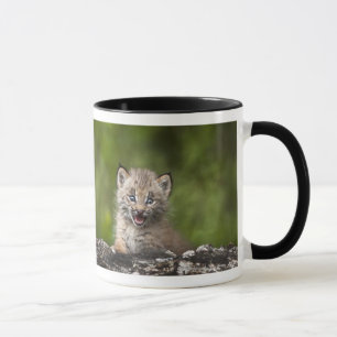 Baby Lynx Looking Over A Fallen Tree Mug