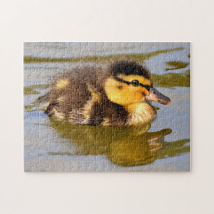 Baby Mallard Duck Swimming Jigsaw Puzzle