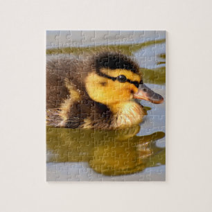 Baby Mallard Duck Swimming Jigsaw Puzzle