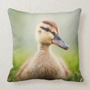 Baby Mallard Ducking Cushion