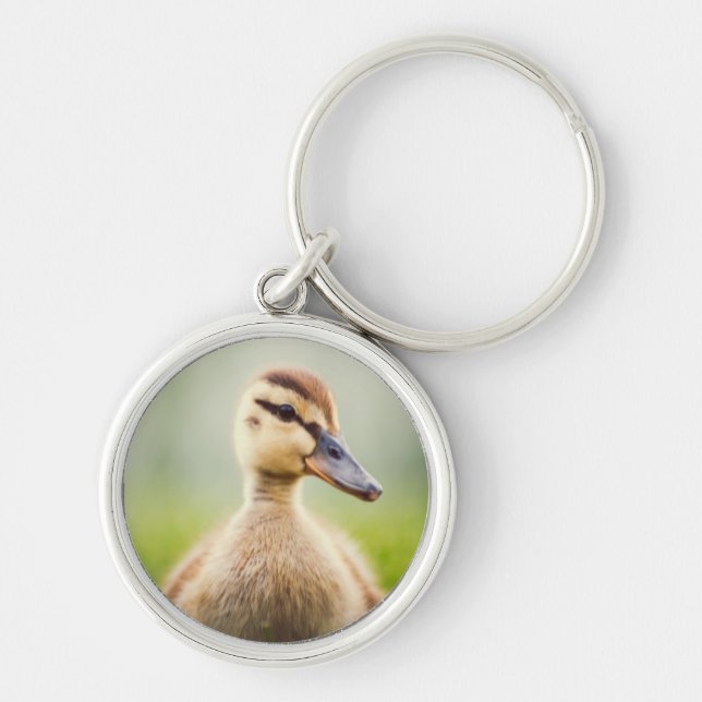 Baby Mallard Ducking Key Ring (Front)