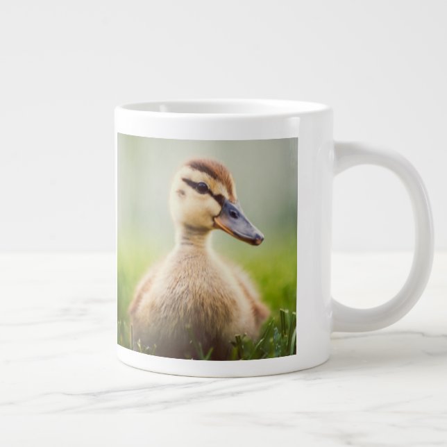 Baby Mallard Ducking Large Coffee Mug (Right)