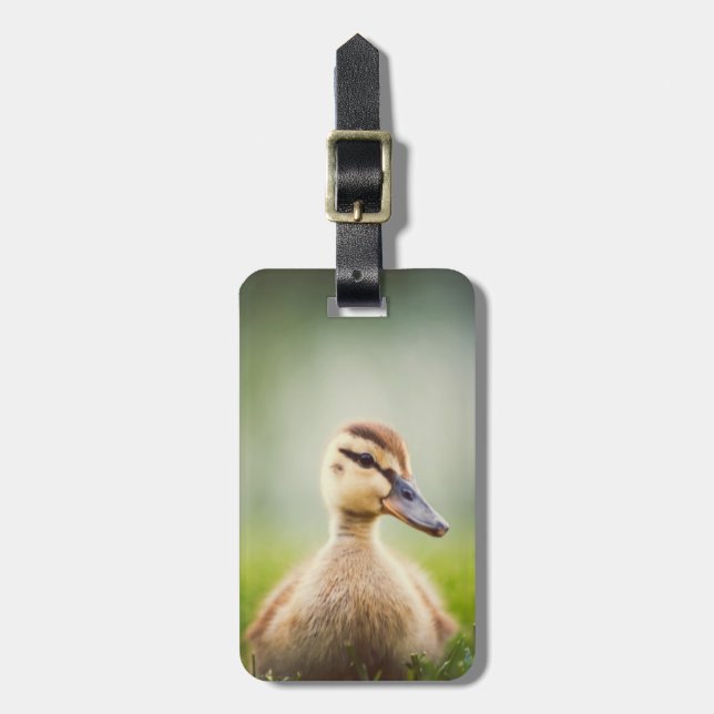 Baby Mallard Ducking Luggage Tag (Front Vertical)