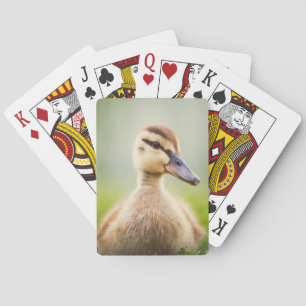 Baby Mallard Ducking Playing Cards
