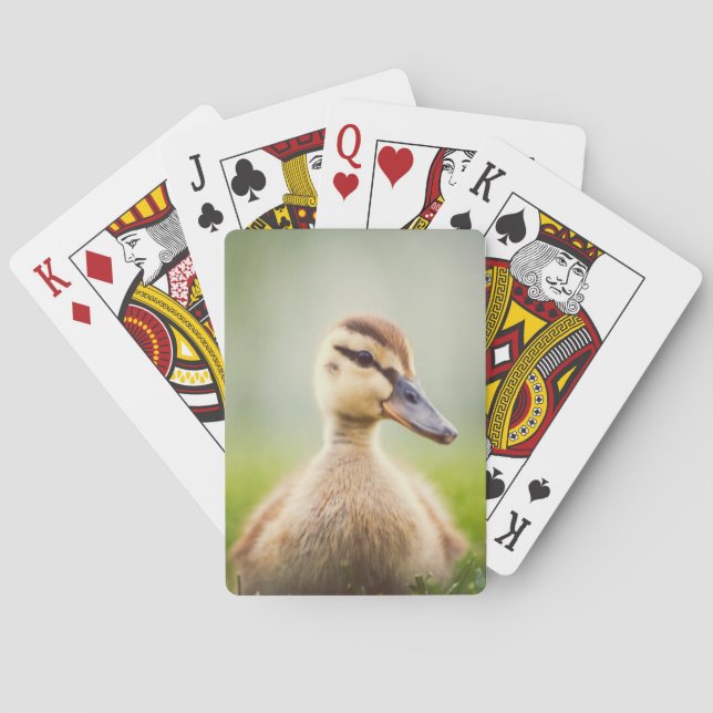 Baby Mallard Ducking Playing Cards (Back)