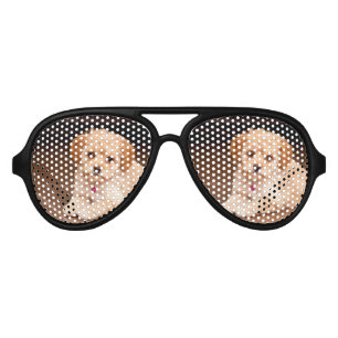 Baby Maltese poodle mix or maltipoo puppy dog Aviator Sunglasses