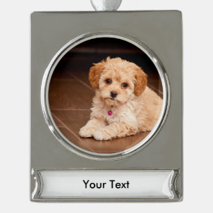 Baby Maltese poodle mix or maltipoo puppy dog Silver Plated Banner Ornament