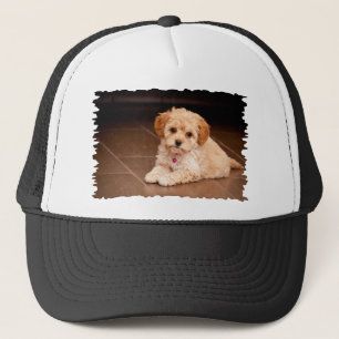 Baby Maltese poodle mix or maltipoo puppy dog Trucker Hat
