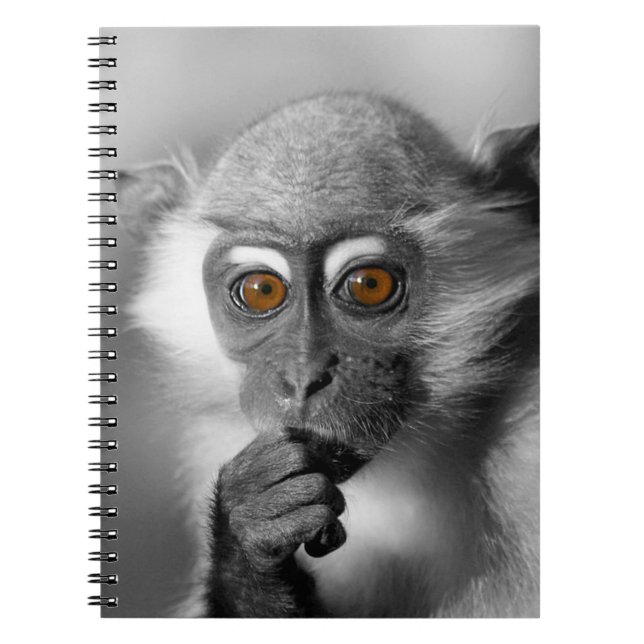 Baby Mangabey Monkey Notebook (Front)
