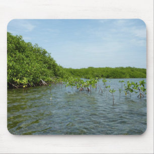 Baby Mangrove Trees Caribbean Nature Mouse Pad