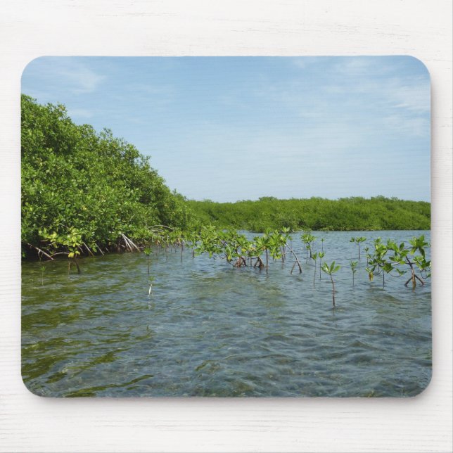 Baby Mangrove Trees in the Caribbean  Mouse Pad (Front)