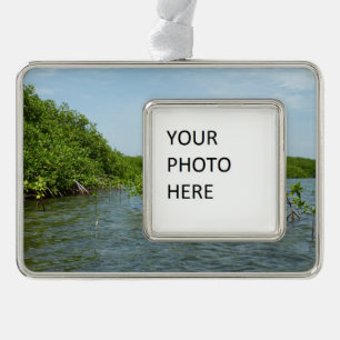 Baby Mangrove Trees in the Caribbean  Silver Plated Framed Ornament