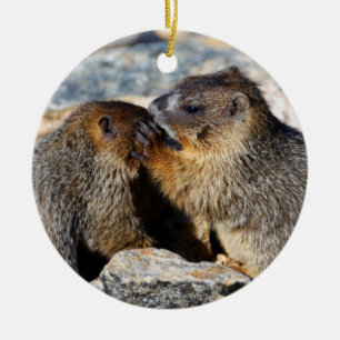 baby marmots ceramic ornament