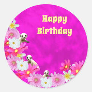 Baby Meerkat And Flowers, Round Stickers