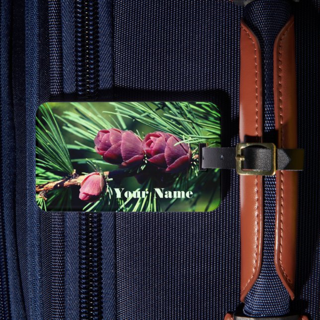 Baby Miniature Pine Cones Nature Personalised Luggage Tag (Front Insitu 4)