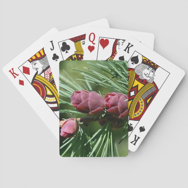 Baby Miniature Pine Cones Nature  Playing Cards (Back)