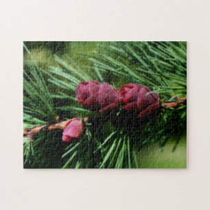 Baby Miniature Pine Cones Orton Effect Jigsaw Puzzle