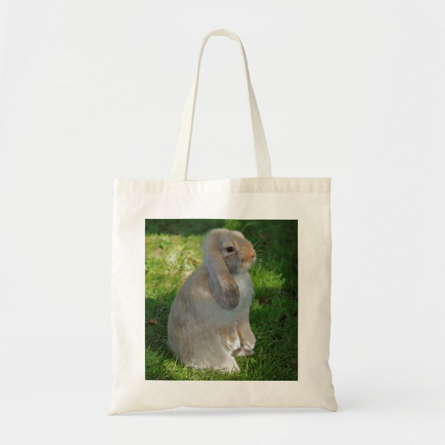 Baby Minilop Rabbit Bag (Front)