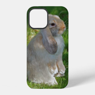 Baby Minilop Rabbit iPhone 12 Case