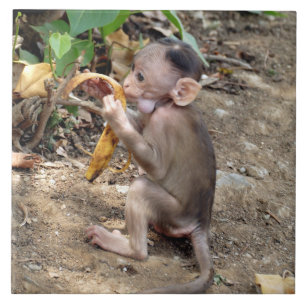 Baby Monkey Ceramic Tile