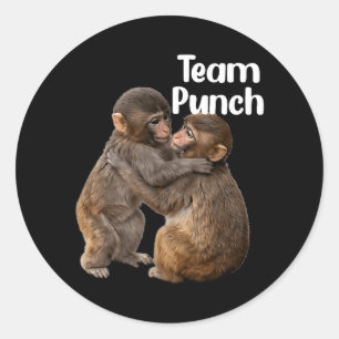 Baby Monkey Couple Team Punch with A New Friend Classic Round Sticker