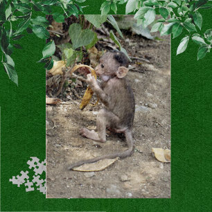 Baby Monkey Jigsaw Puzzle