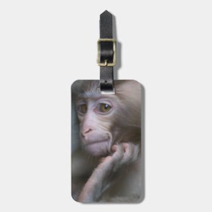Baby Monkey Luggage Tag